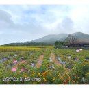 외암민속관 | 아산 외암민속마을 여행 &amp; 온양 온천 즐기기 (전통문화체험 가득!) 휴일 나들이 추천