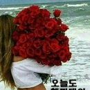 해피데이 이미지