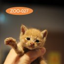 용연로 50번길 티스토리