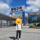 팔만대장경 | 합천 가볼만한곳 해인사, 팔만대장경 방문 후기