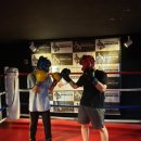 용인대 탑 복싱 이미지