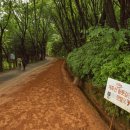 황토길 - 광산구 | 황토길
