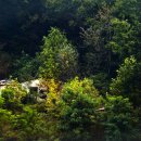 숲속의하얀집 이미지