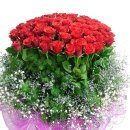 장수초교 이미지