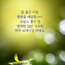 울산고래고기