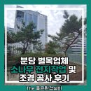 분당 벌목업체 소나무 전지작업 및 조경 공사 후기