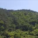 미천면-1 이미지
