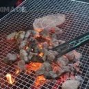 고기구워 - 고성군 거탄진로 144 | 고기구워