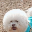 동그랗개 이미지