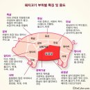 국민삽겹살