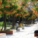 부천중앙공원 이미지