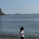 부산자갈밭시장 | 부산 혼자여행 : “태종대” 포토스팟 가는법✨ (태종대 자갈마당,전망대)+ 다누비열차 이용