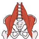 메디포레스트 필라테스 이미지