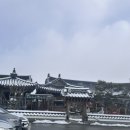 몽코지 | 코지키친 사장님의 힐링 휴무! 담양 맛집 '단청' &amp; 정원이 예쁜 신상 카페 '들꽃숲' 🍖☕