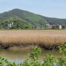 계천배수장 이미지