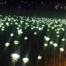 나나농장 이미지