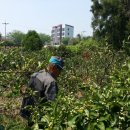 송씨네농장 이미지