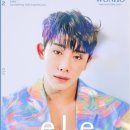 이엘이(ELE)