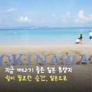 팬스타프라자 | 일본 휴양지 숙소 특가 총정리! 오키나와·홋카이도·삿포로 할인 예약 꿀팁