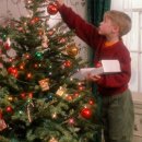 석모 포레 이미지