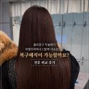 라영헤어숍 | 울산중구 두쏠헤어 라영디자이너｜탈색·극손상모도 복구매직이 가능할까요? 전후 비교 후기