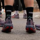 코리아유도체육관(181) 이미지