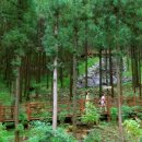 흙집우드 이미지