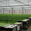 우영농장 이미지