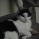 자강365한의원 이미지