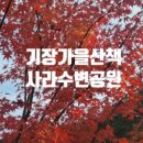 대라리헐타시장통닭 | 기장시장통닭 대라리 헐타시장통닭
