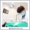 서울민치과의원 이미지