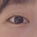 나나솔 | 삼산동 속눈썹펌 잘하는 나나솔 내돈내산 정착 후기