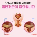 바디닥터2 이미지