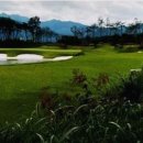 알프스대영 골프장 이미지