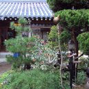 대구수라간 이미지