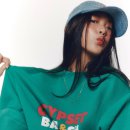 바쉬