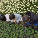 율하자연어린이집 이미지