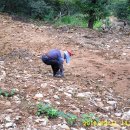 우식농장 이미지