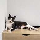 주공2단지아파트 이미지