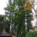 반도여관 이미지