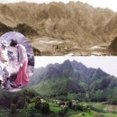 충주산업임업