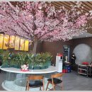 명품초밥 이미지