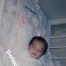 코코넨네 이미지