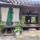 금레당 네이버블로그