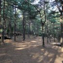 파인힐 캠프 이미지