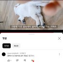 발안점 PC존 | 🌟𝐏𝐫𝐞𝐜𝐢𝐨𝐮𝐬 𝐦𝐞𝐦𝐨𝐫𝐢𝐞𝐬 𝐨𝐟 𝐭𝐡𝐞 𝐦𝐨𝐧𝐭𝐡 𝐨𝐟 𝐌𝐚𝐫𝐜𝐡🌟