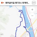 원주굽이길 원7코스 반계리은행나무길 이미지