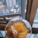 제제홀릭