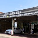 샤인랩디테일링 이미지