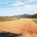 영광잔디 이미지